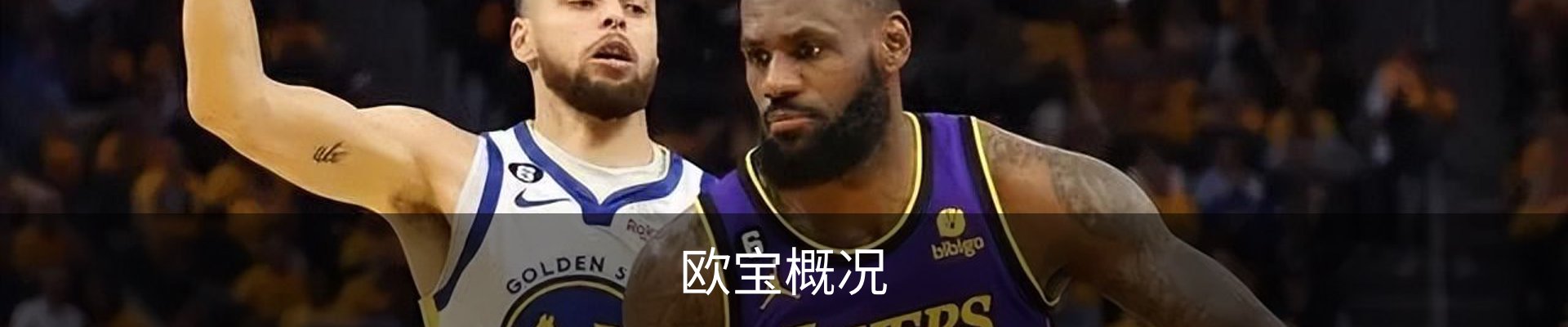 欧宝概况
