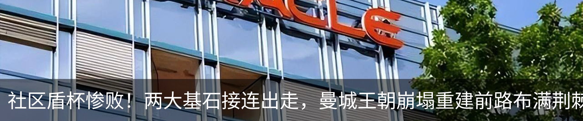 新闻动态
